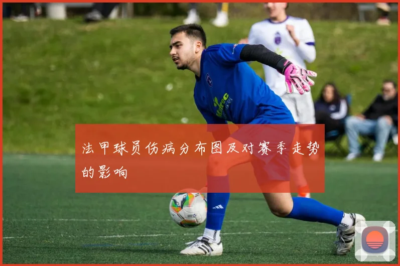 法甲球员伤病分布图及对赛季走势的影响