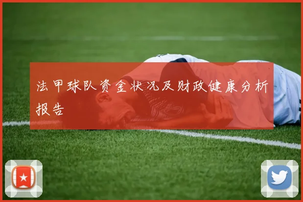 法甲球队资金状况及财政健康分析报告