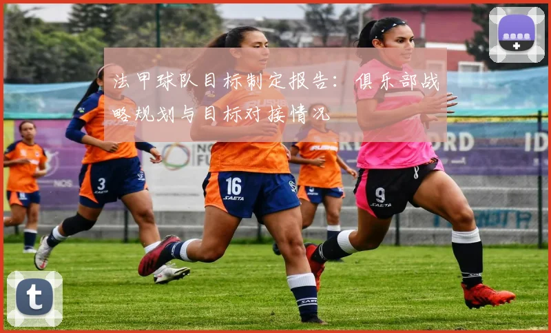 法甲球队目标制定报告：俱乐部战略规划与目标对接情况
