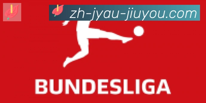 九游jiuyou合作伙伴